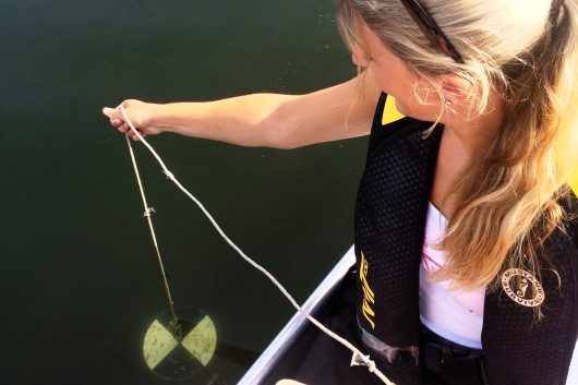 A Water Quality Technician measures water clarity using a Secchi disk